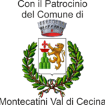 Logo comune Montecatini